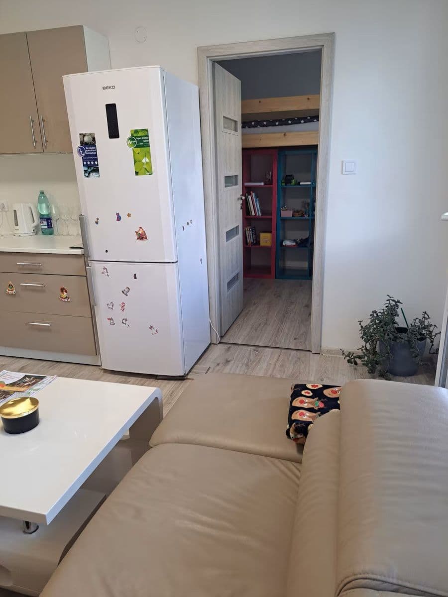1 bedroom with open-plan kitchen flat for sale, 52 m², Jindřišská, Pardubice, Pardubický Region 1 bedroom with open-plan kitchen flat for sale, 52 m², Jindřišská, Pardubice, Pardubický Region
