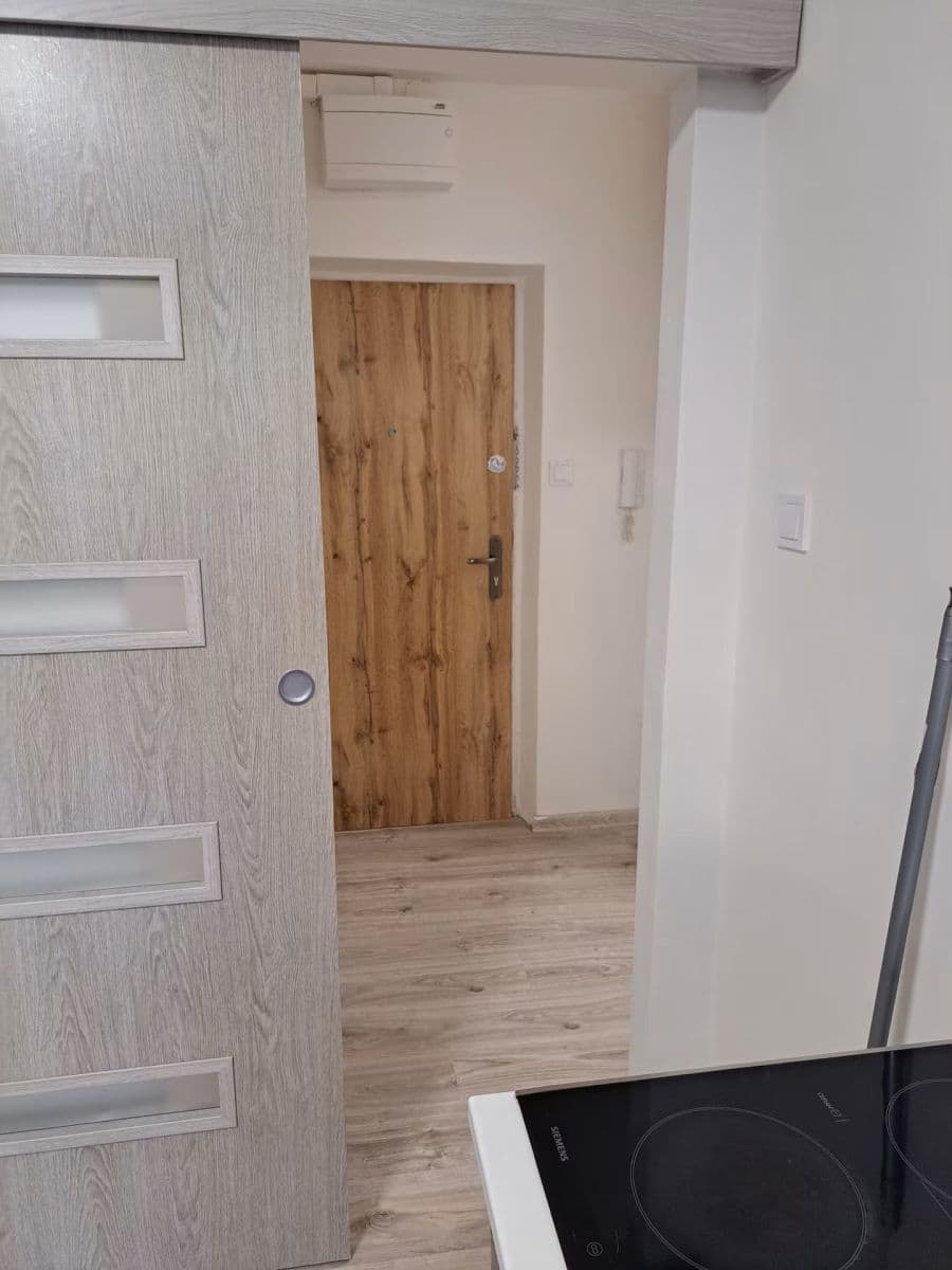 1 bedroom with open-plan kitchen flat for sale, 52 m², Jindřišská, Pardubice, Pardubický Region 1 bedroom with open-plan kitchen flat for sale, 52 m², Jindřišská, Pardubice, Pardubický Region