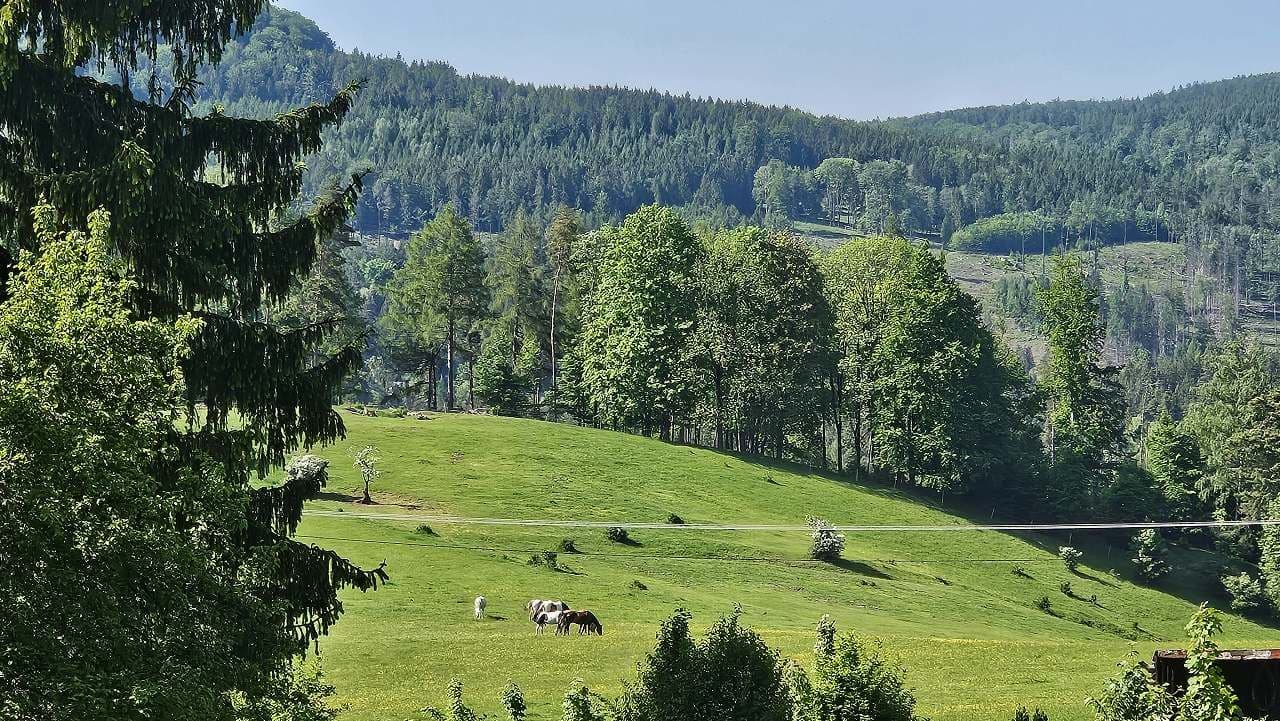 recreational property to rent, 0 m², Kytlice, Ústecký Region recreational property to rent, 0 m², Kytlice, Ústecký Region