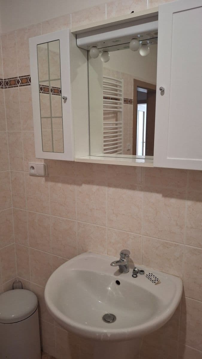 Studio flat to rent, 50 m², Platanová, Litoměřice, Ústecký Region Studio flat to rent, 50 m², Platanová, Litoměřice, Ústecký Region