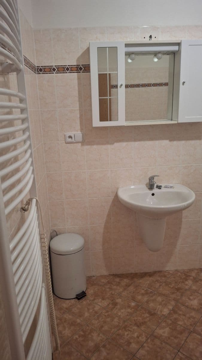 Studio flat to rent, 50 m², Platanová, Litoměřice, Ústecký Region Studio flat to rent, 50 m², Platanová, Litoměřice, Ústecký Region
