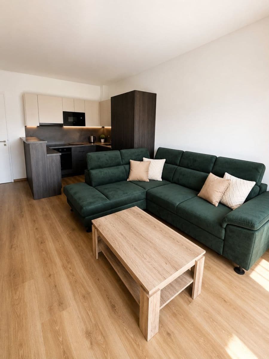 1 bedroom with open-plan kitchen flat to rent, 56 m², Rostěnice-Zvonovice, Jihomoravský Region 1 bedroom with open-plan kitchen flat to rent, 56 m², Rostěnice-Zvonovice, Jihomoravský Region