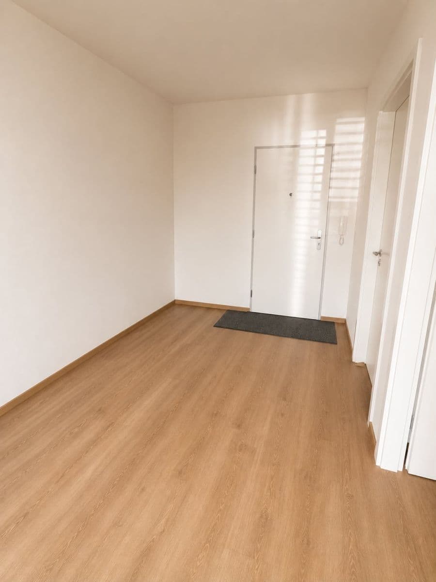 1 bedroom with open-plan kitchen flat to rent, 56 m², Rostěnice-Zvonovice, Jihomoravský Region 1 bedroom with open-plan kitchen flat to rent, 56 m², Rostěnice-Zvonovice, Jihomoravský Region