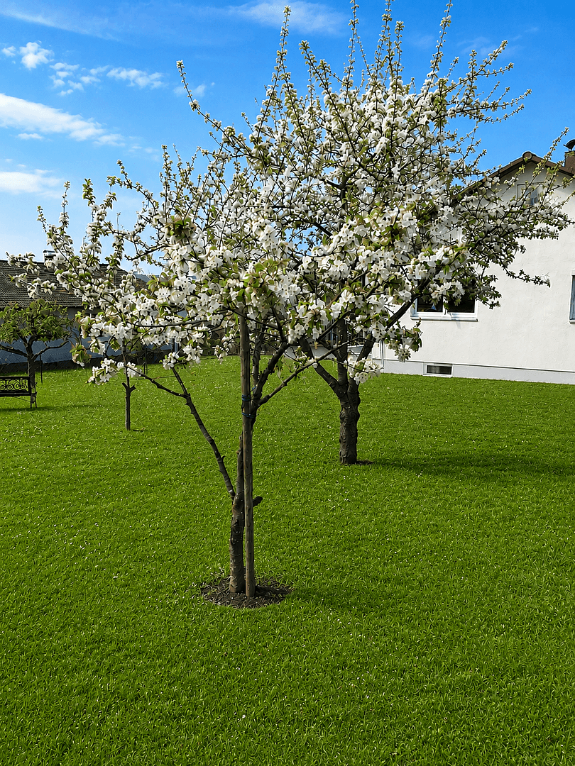 house for sale, 145 m², Pappenheim, Bavaria house for sale, 145 m², Pappenheim, Bavaria