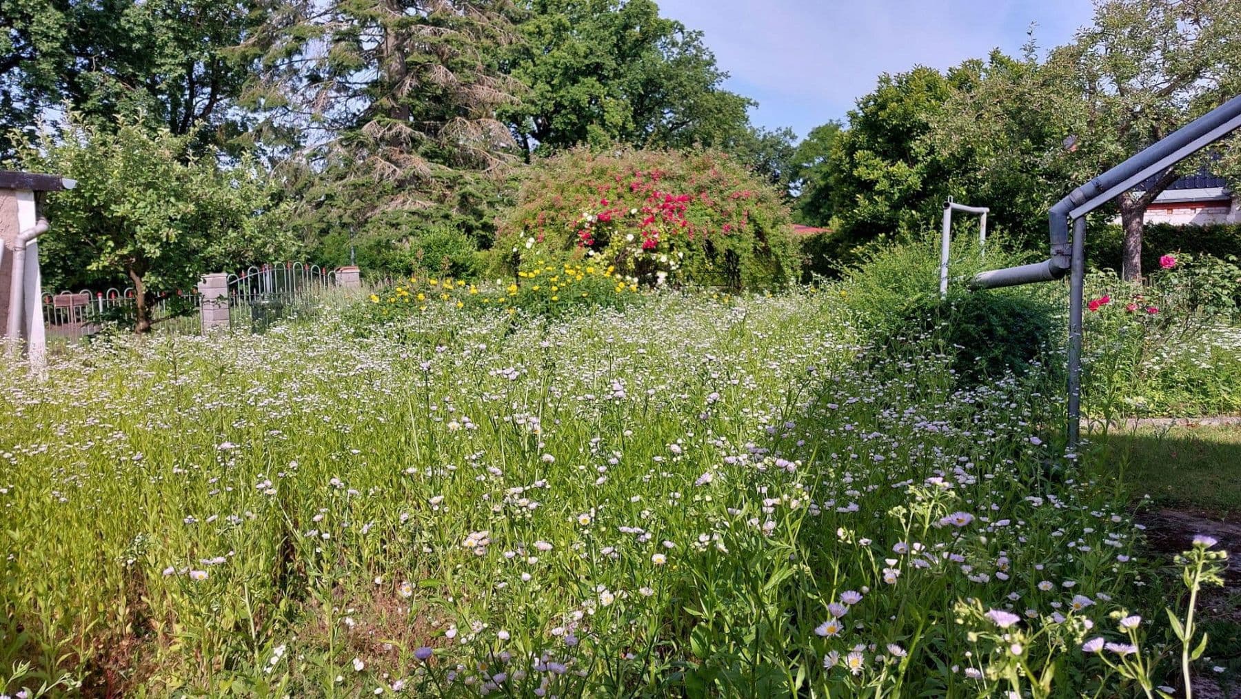 plot for sale, 863 m², Woltersdorfer Str 8, Schöneiche bei Berlin, Brandenburg plot for sale, 863 m², Woltersdorfer Str 8, Schöneiche bei Berlin, Brandenburg
