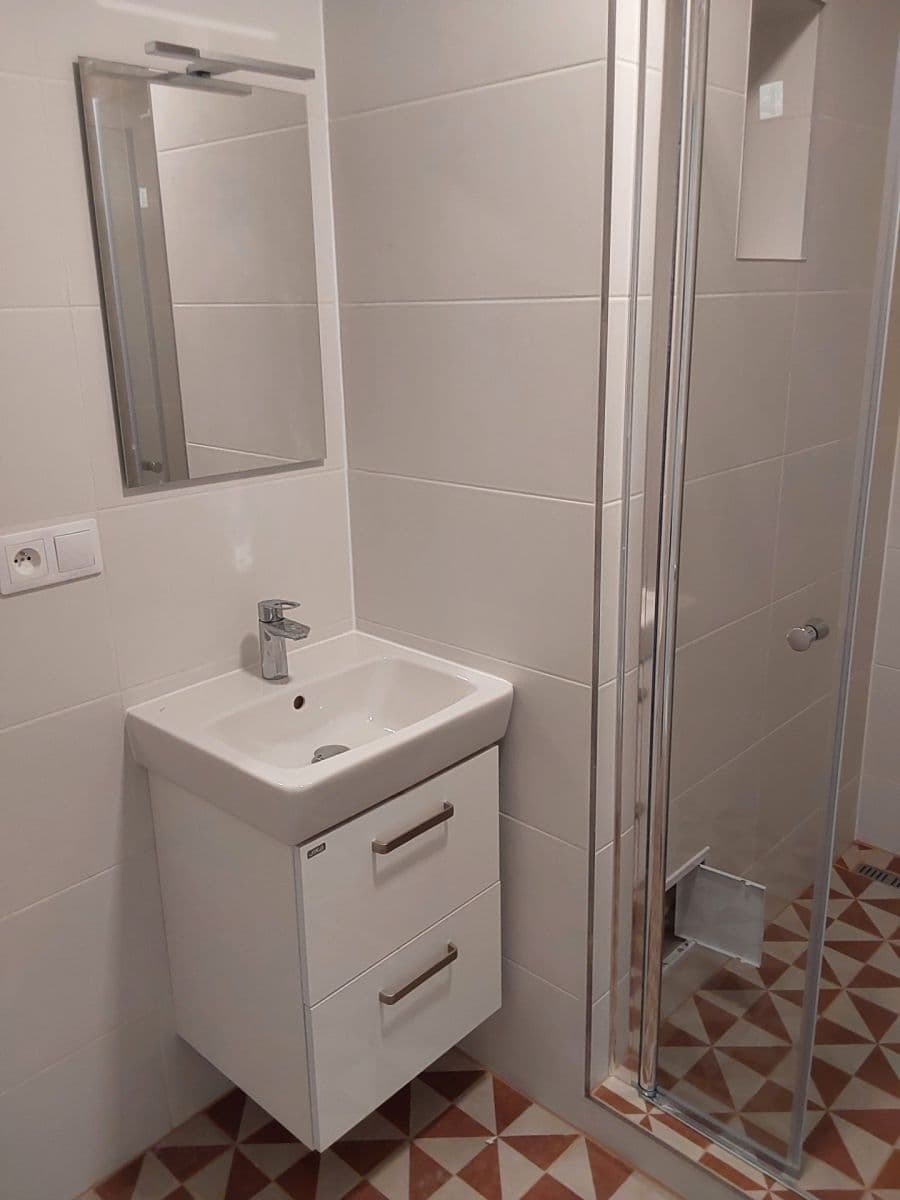 1 bedroom with open-plan kitchen flat to rent, 42 m², Madridská, Prague, Prague 1 bedroom with open-plan kitchen flat to rent, 42 m², Madridská, Prague, Prague