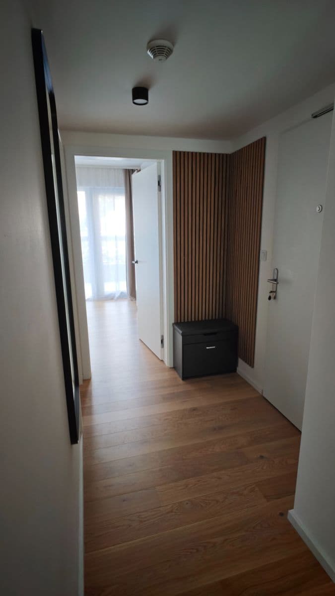 1 bedroom with open-plan kitchen flat to rent, 60 m², Hábova, Prague, Prague 1 bedroom with open-plan kitchen flat to rent, 60 m², Hábova, Prague, Prague