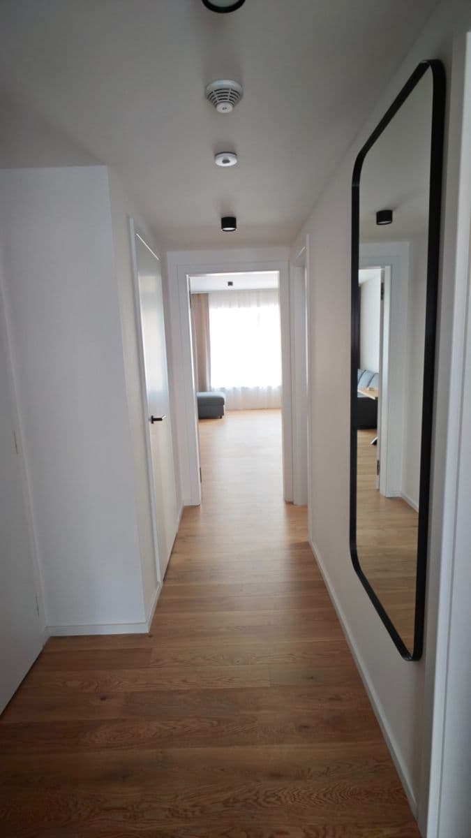 1 bedroom with open-plan kitchen flat to rent, 60 m², Hábova, Prague, Prague 1 bedroom with open-plan kitchen flat to rent, 60 m², Hábova, Prague, Prague