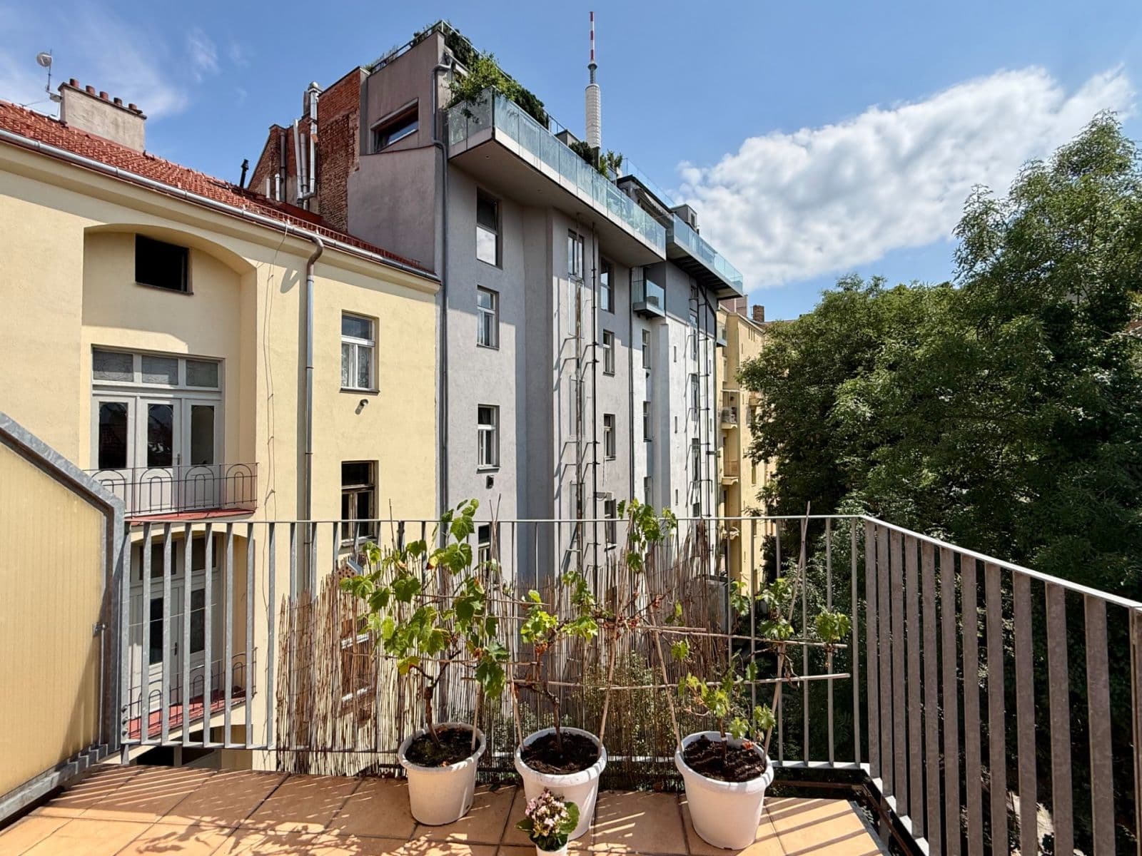 1 bedroom with open-plan kitchen flat to rent, 62 m², Bořivojova, Prague, Prague 1 bedroom with open-plan kitchen flat to rent, 62 m², Bořivojova, Prague, Prague