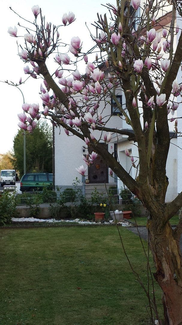 4 bedroom flat to rent, 115 m², Bischberg, Bavaria 4 bedroom flat to rent, 115 m², Bischberg, Bavaria
