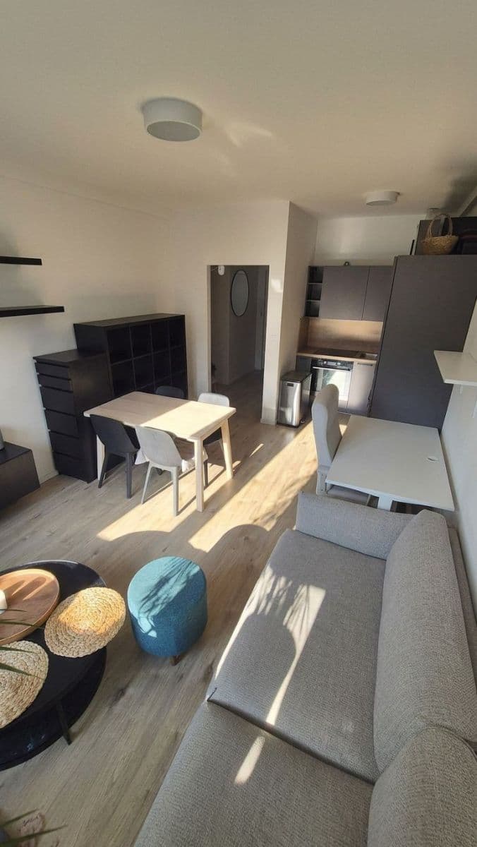 1 bedroom with open-plan kitchen flat to rent, 43 m², Osadní, Prague, Prague 1 bedroom with open-plan kitchen flat to rent, 43 m², Osadní, Prague, Prague
