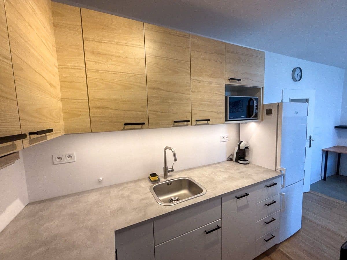 1 bedroom with open-plan kitchen flat to rent, 46 m², Bellušova, Prague, Prague 1 bedroom with open-plan kitchen flat to rent, 46 m², Bellušova, Prague, Prague