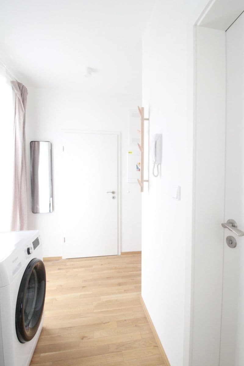 1 bedroom with open-plan kitchen flat to rent, 38 m², Nad Rokoskou, Prague, Prague 1 bedroom with open-plan kitchen flat to rent, 38 m², Nad Rokoskou, Prague, Prague