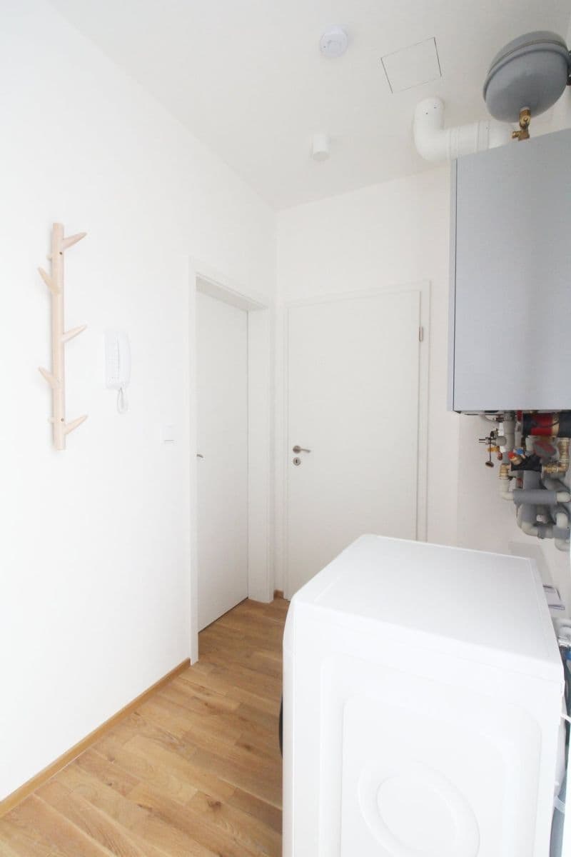 1 bedroom with open-plan kitchen flat to rent, 38 m², Nad Rokoskou, Prague, Prague 1 bedroom with open-plan kitchen flat to rent, 38 m², Nad Rokoskou, Prague, Prague