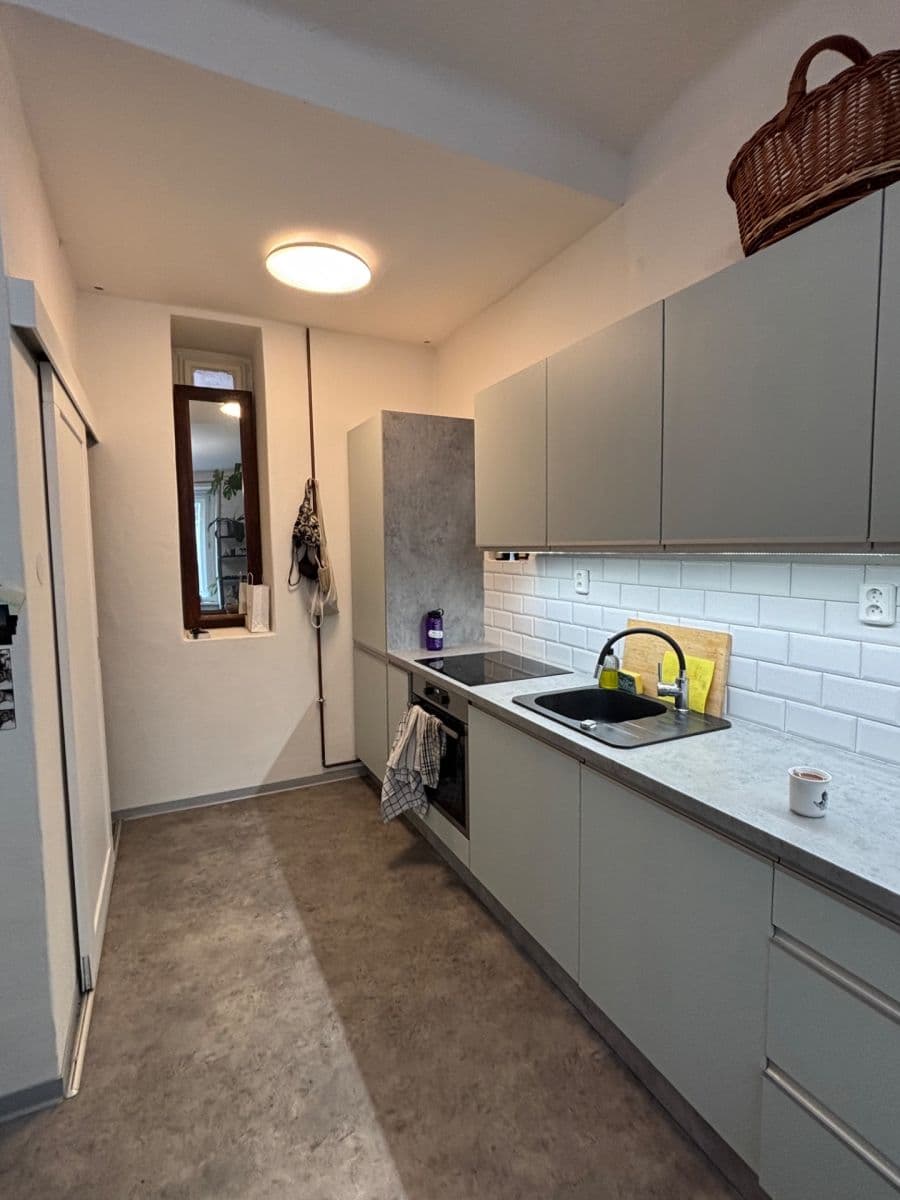 1 bedroom with open-plan kitchen flat for sale, 44 m², Sportovní, Prague, Prague 1 bedroom with open-plan kitchen flat for sale, 44 m², Sportovní, Prague, Prague