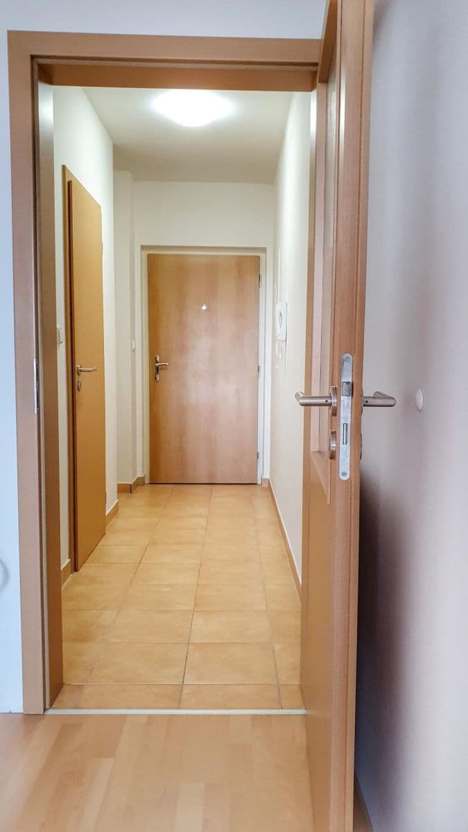 1 bedroom with open-plan kitchen flat to rent, 38 m², Donínská, Prague, Prague 1 bedroom with open-plan kitchen flat to rent, 38 m², Donínská, Prague, Prague