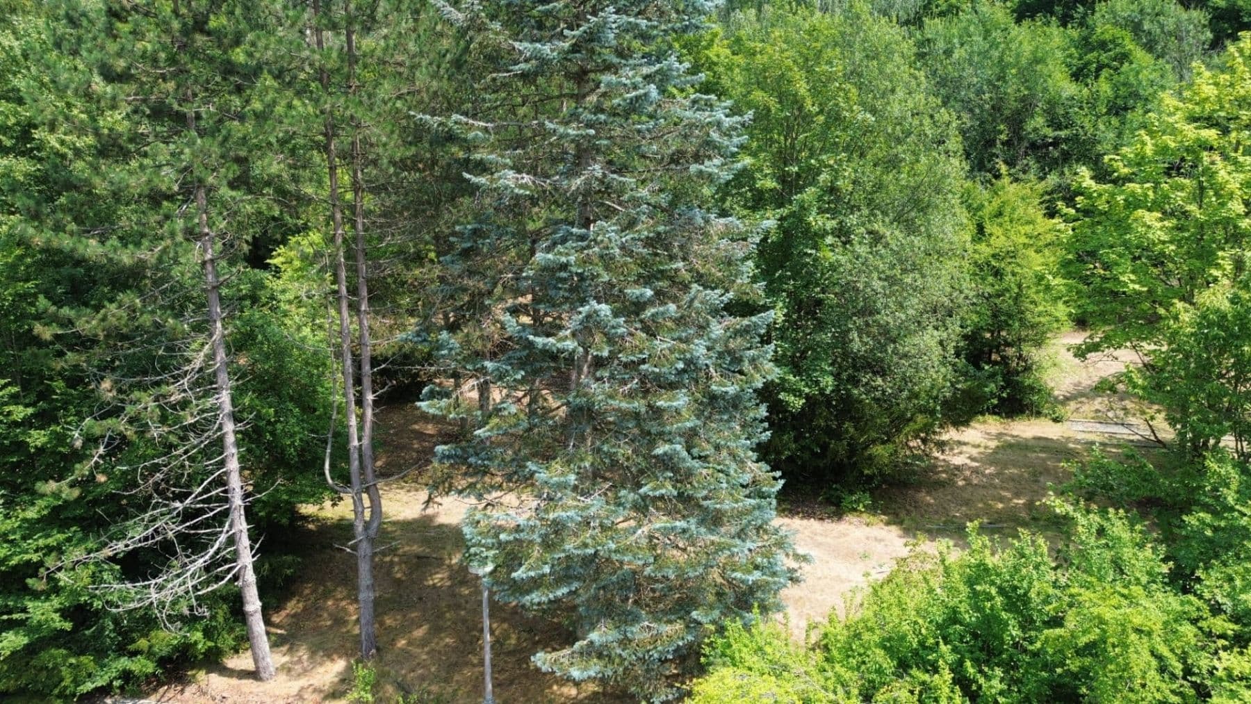 non-residential property for sale, 11,580 m², Šternberk, Olomoucký Region non-residential property for sale, 11,580 m², Šternberk, Olomoucký Region