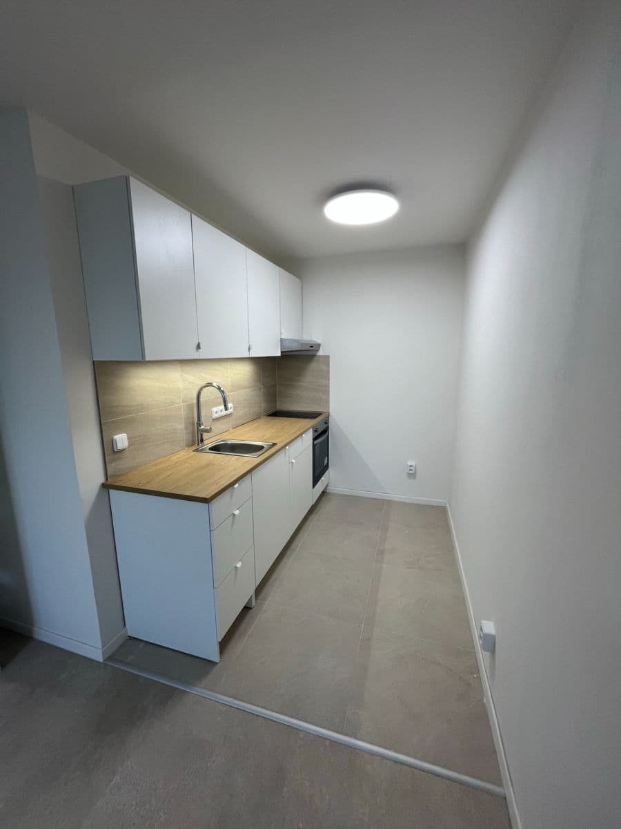 1 bedroom with open-plan kitchen flat to rent, 43 m², Kupeckého, Prague, Prague 1 bedroom with open-plan kitchen flat to rent, 43 m², Kupeckého, Prague, Prague