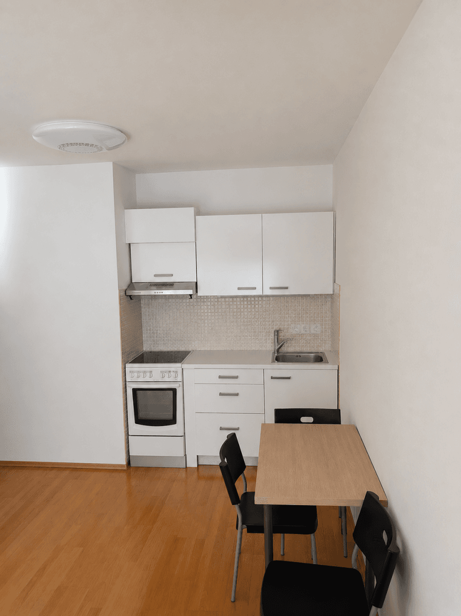 1 bedroom with open-plan kitchen flat to rent, 52 m², Názovská, Prague, Prague 1 bedroom with open-plan kitchen flat to rent, 52 m², Názovská, Prague, Prague