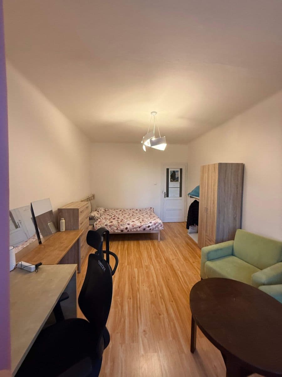 1 bedroom with open-plan kitchen flat to rent, 60 m², Vinohradská, Prague, Prague 1 bedroom with open-plan kitchen flat to rent, 60 m², Vinohradská, Prague, Prague