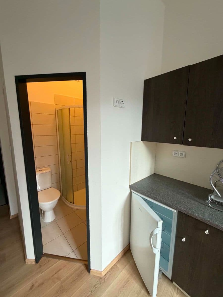 Studio flat to rent, 15 m², náměstí Hrdinů, Prague, Prague Studio flat to rent, 15 m², náměstí Hrdinů, Prague, Prague