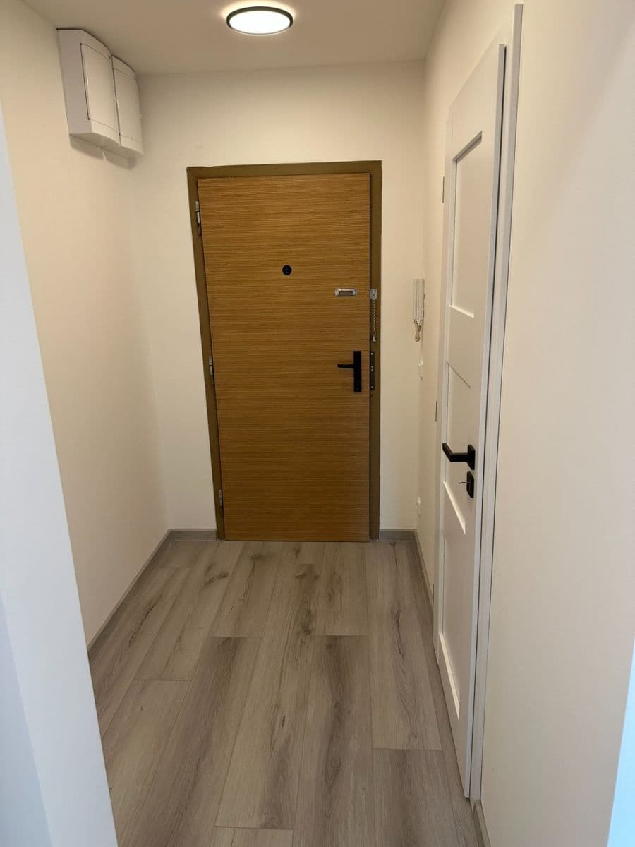 1 bedroom with open-plan kitchen flat to rent, 42 m², Ciolkovského, Prague, Prague 1 bedroom with open-plan kitchen flat to rent, 42 m², Ciolkovského, Prague, Prague