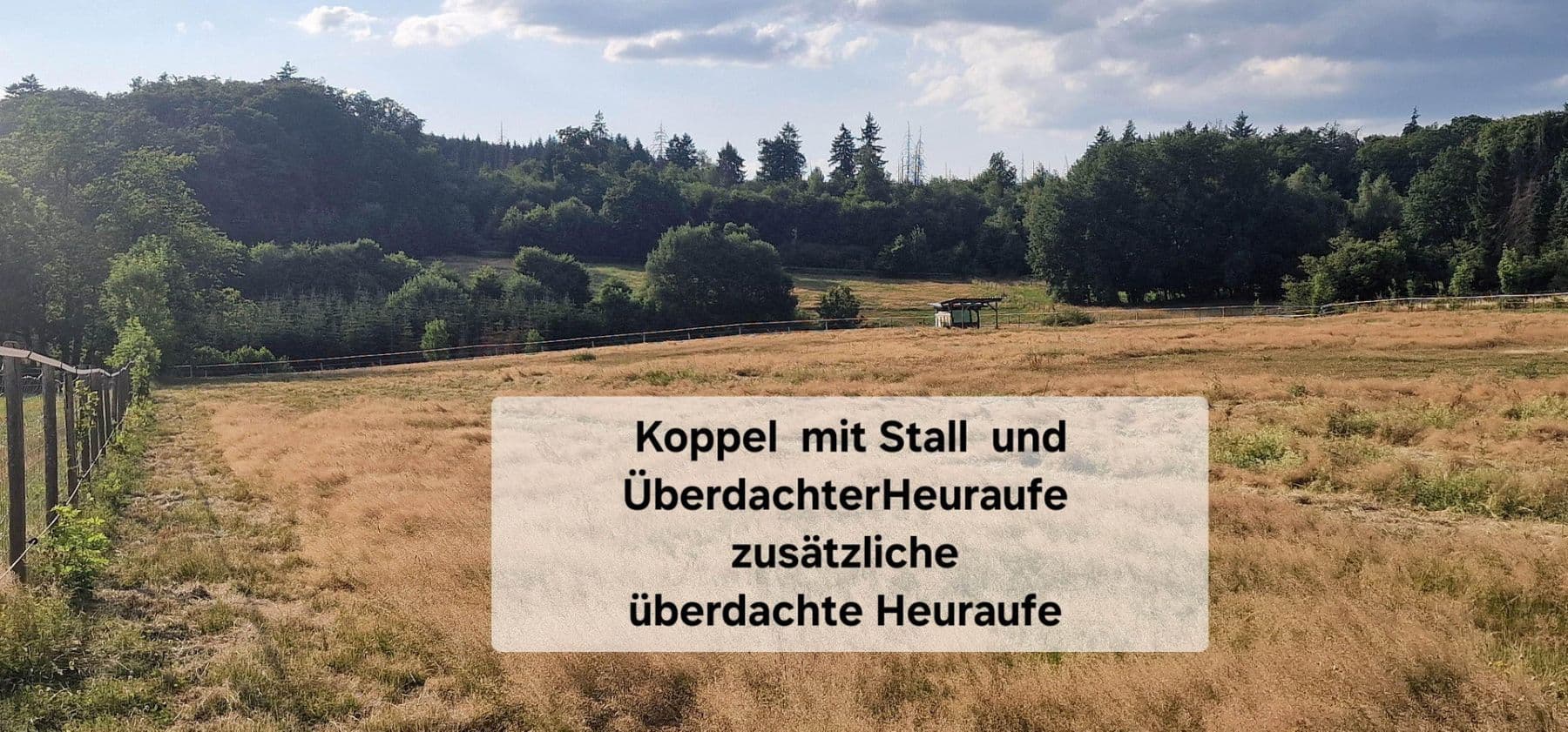 plot for sale, 67,115 m², Maxsain, Rhineland-Palatinate plot for sale, 67,115 m², Maxsain, Rhineland-Palatinate