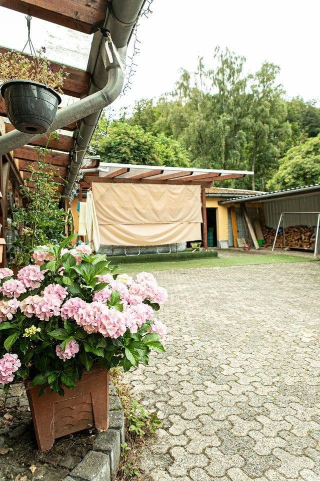 plot for sale, 67,115 m², Maxsain, Rhineland-Palatinate plot for sale, 67,115 m², Maxsain, Rhineland-Palatinate
