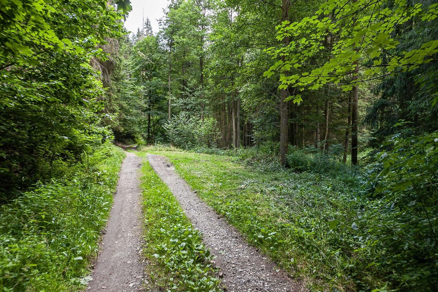 recreational property for sale, 32,164 m², Jablonec nad Jizerou, Liberecký Region recreational property for sale, 32,164 m², Jablonec nad Jizerou, Liberecký Region