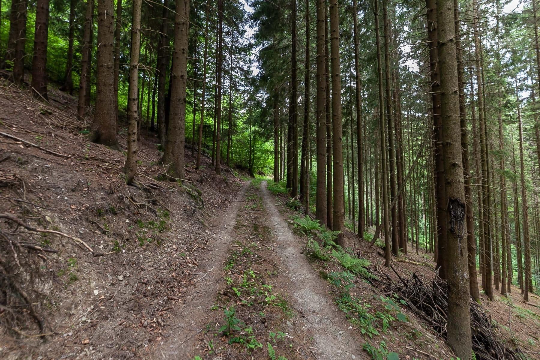 recreational property for sale, 32,164 m², Jablonec nad Jizerou, Liberecký Region recreational property for sale, 32,164 m², Jablonec nad Jizerou, Liberecký Region