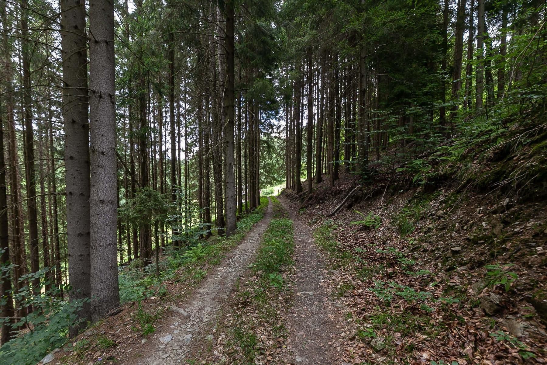 recreational property for sale, 32,164 m², Jablonec nad Jizerou, Liberecký Region recreational property for sale, 32,164 m², Jablonec nad Jizerou, Liberecký Region