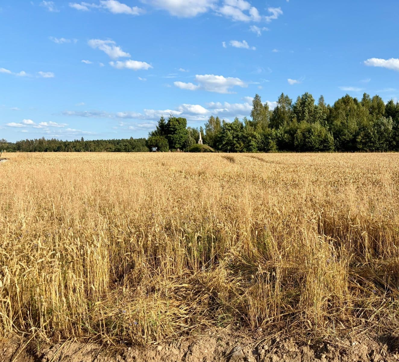 plot for sale, 714 m², Heřmaň, Jihočeský Region plot for sale, 714 m², Heřmaň, Jihočeský Region
