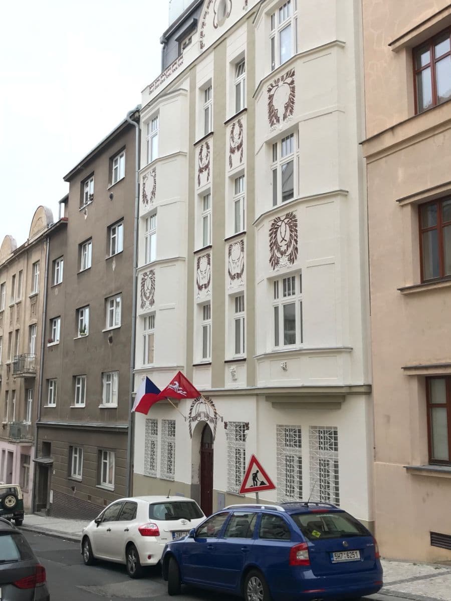 1 bedroom with open-plan kitchen flat to rent, 60 m², Nad Panenskou, Prague, Prague 1 bedroom with open-plan kitchen flat to rent, 60 m², Nad Panenskou, Prague, Prague