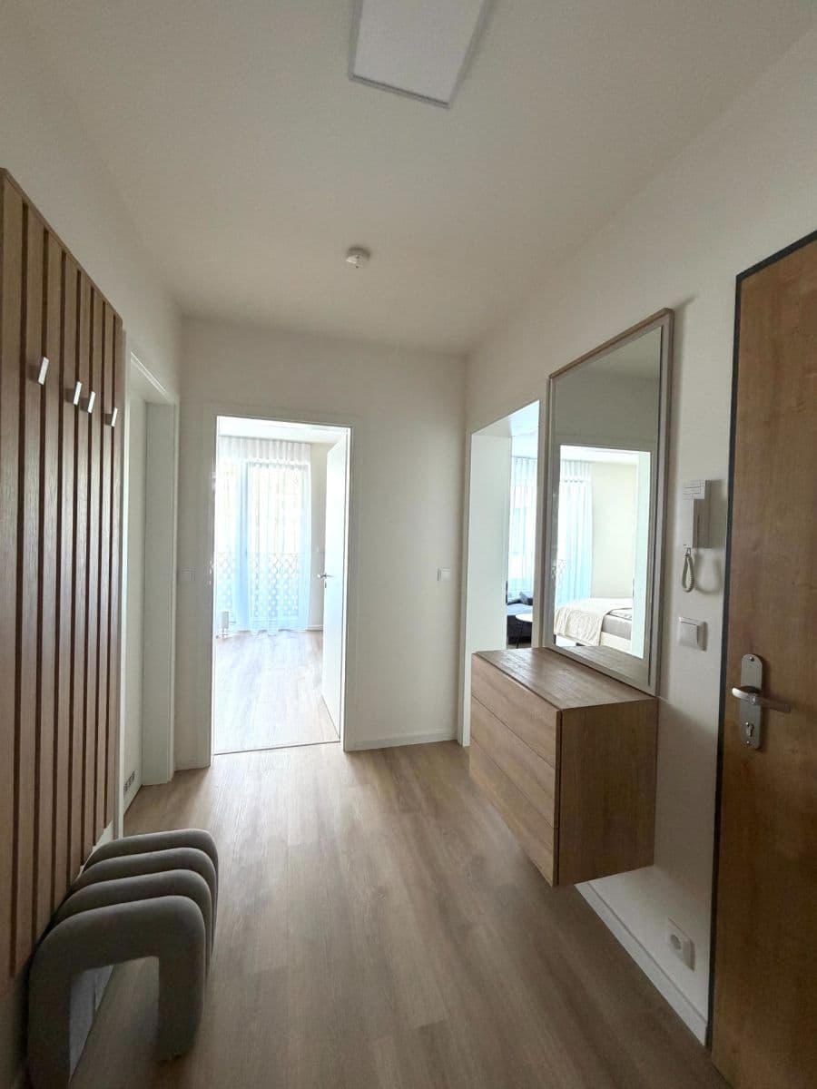 1 bedroom with open-plan kitchen flat to rent, 59 m², Divíškové, Prague, Prague 1 bedroom with open-plan kitchen flat to rent, 59 m², Divíškové, Prague, Prague