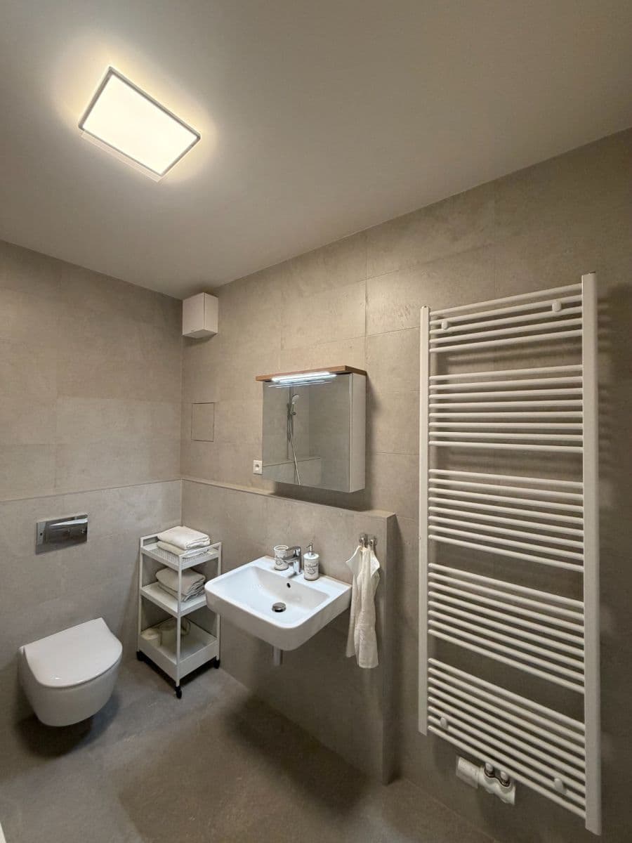 1 bedroom with open-plan kitchen flat to rent, 59 m², Divíškové, Prague, Prague 1 bedroom with open-plan kitchen flat to rent, 59 m², Divíškové, Prague, Prague