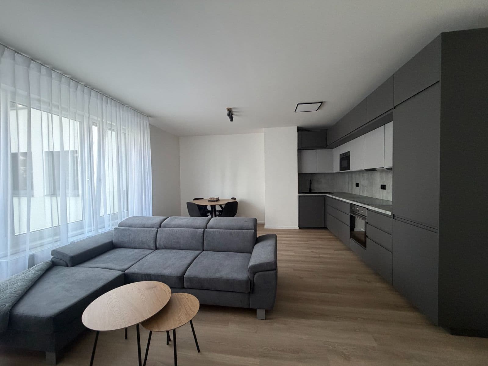 1 bedroom with open-plan kitchen flat to rent, 59 m², Divíškové, Prague, Prague 1 bedroom with open-plan kitchen flat to rent, 59 m², Divíškové, Prague, Prague