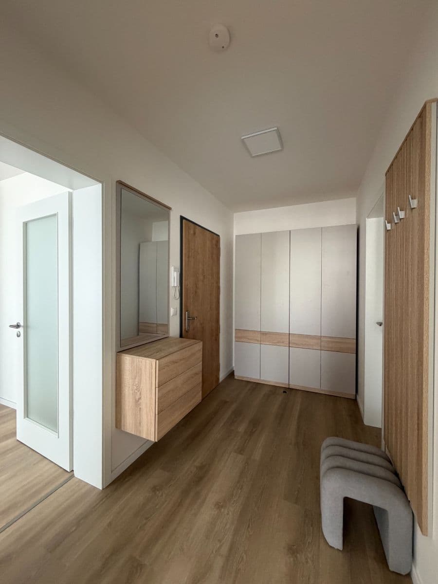 1 bedroom with open-plan kitchen flat to rent, 59 m², Divíškové, Prague, Prague 1 bedroom with open-plan kitchen flat to rent, 59 m², Divíškové, Prague, Prague