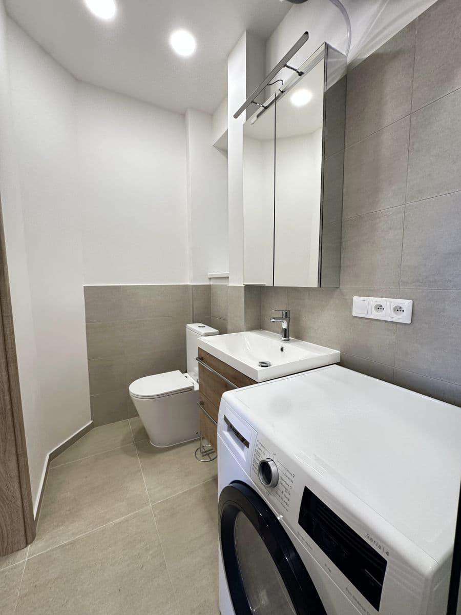 1 bedroom with open-plan kitchen flat to rent, 50 m², Jeseniova, Prague, Prague 1 bedroom with open-plan kitchen flat to rent, 50 m², Jeseniova, Prague, Prague