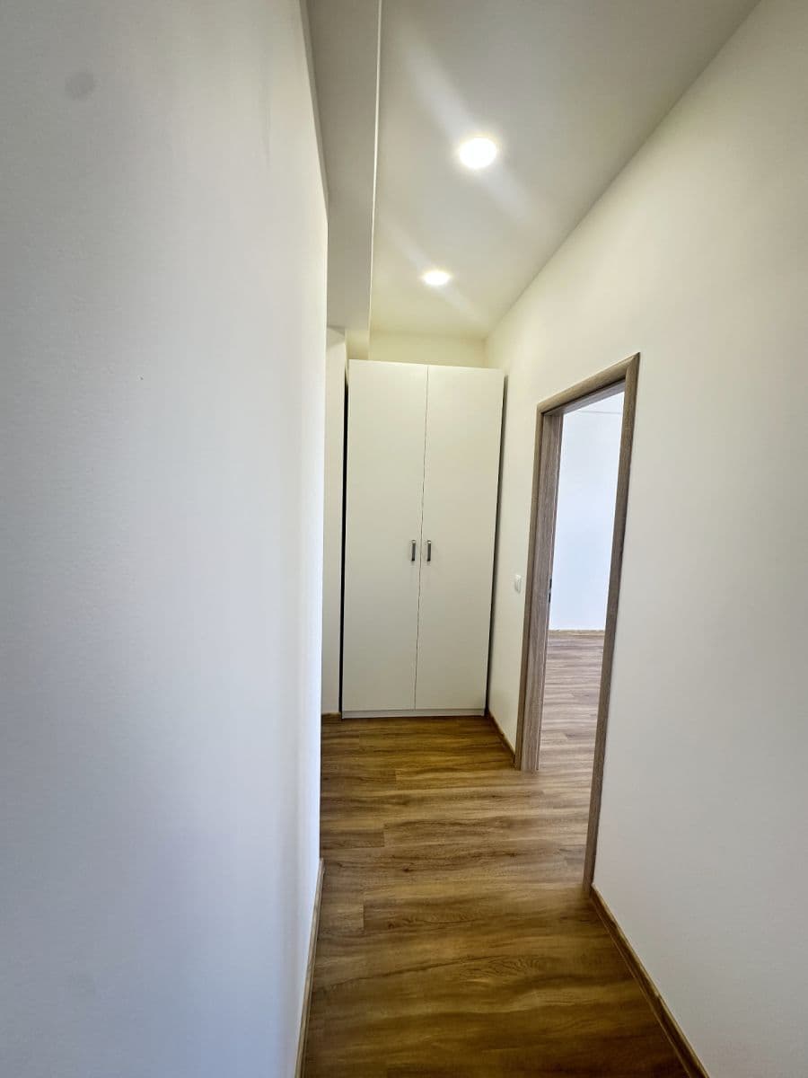 1 bedroom with open-plan kitchen flat to rent, 50 m², Jeseniova, Prague, Prague 1 bedroom with open-plan kitchen flat to rent, 50 m², Jeseniova, Prague, Prague