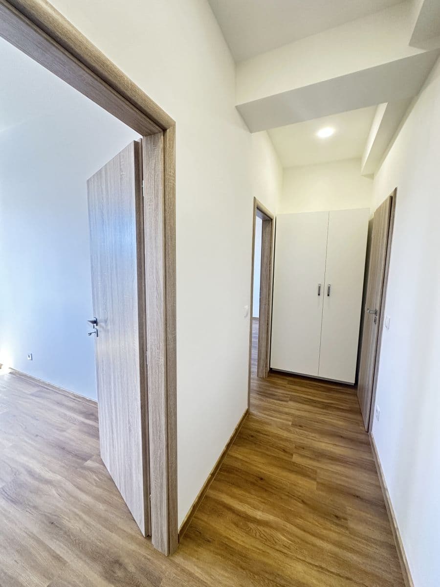 1 bedroom with open-plan kitchen flat to rent, 50 m², Jeseniova, Prague, Prague 1 bedroom with open-plan kitchen flat to rent, 50 m², Jeseniova, Prague, Prague