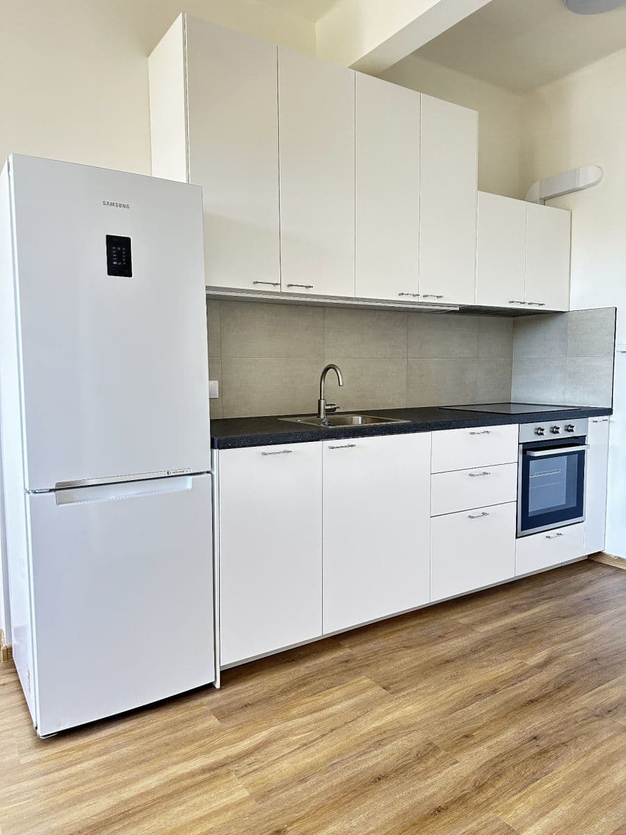 1 bedroom with open-plan kitchen flat to rent, 50 m², Jeseniova, Prague, Prague 1 bedroom with open-plan kitchen flat to rent, 50 m², Jeseniova, Prague, Prague