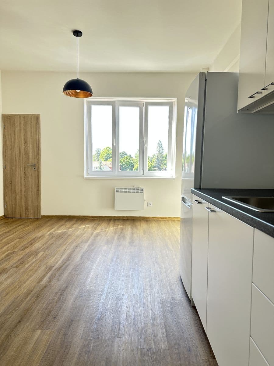1 bedroom with open-plan kitchen flat to rent, 50 m², Jeseniova, Prague, Prague 1 bedroom with open-plan kitchen flat to rent, 50 m², Jeseniova, Prague, Prague