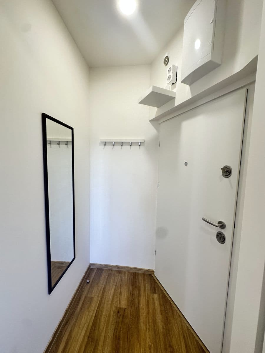 1 bedroom with open-plan kitchen flat to rent, 50 m², Jeseniova, Prague, Prague 1 bedroom with open-plan kitchen flat to rent, 50 m², Jeseniova, Prague, Prague