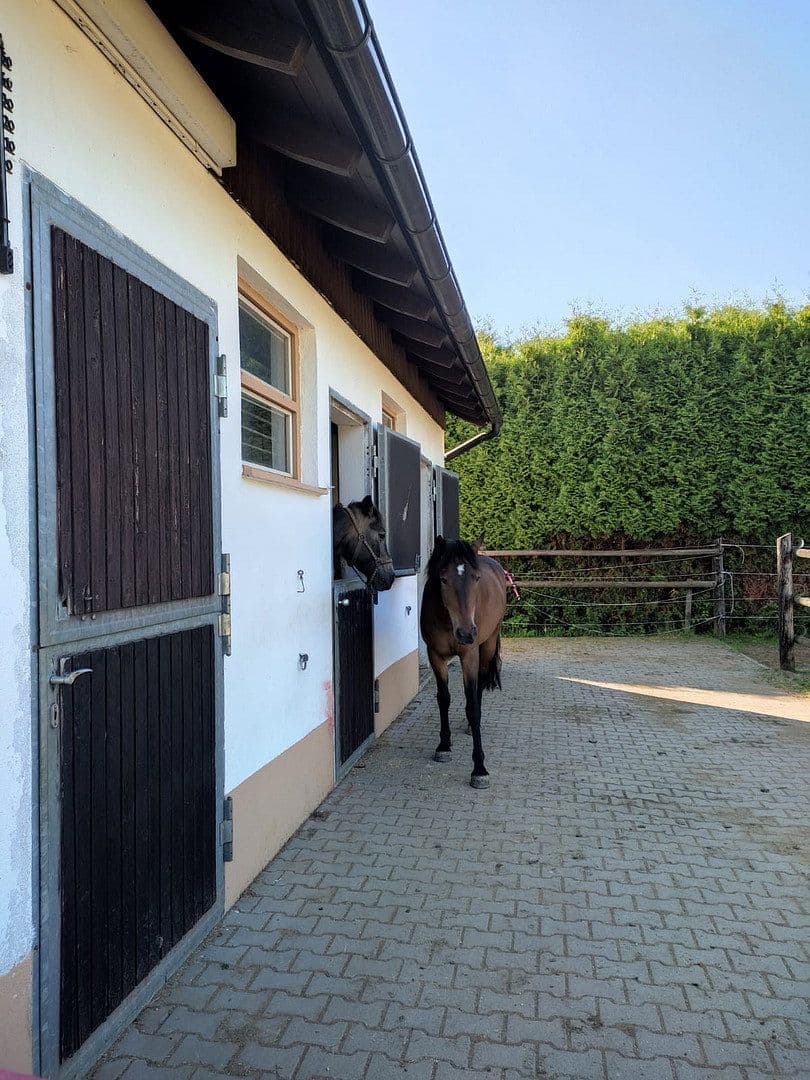 house for sale, 250 m², Thiersheim, Bavaria house for sale, 250 m², Thiersheim, Bavaria