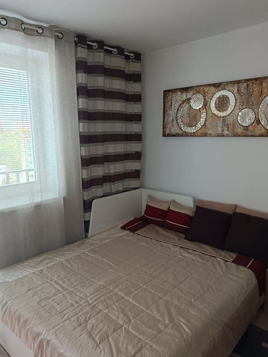 Studio flat to rent, 29 m², Sedláčkova, Brno, Jihomoravský Region Studio flat to rent, 29 m², Sedláčkova, Brno, Jihomoravský Region