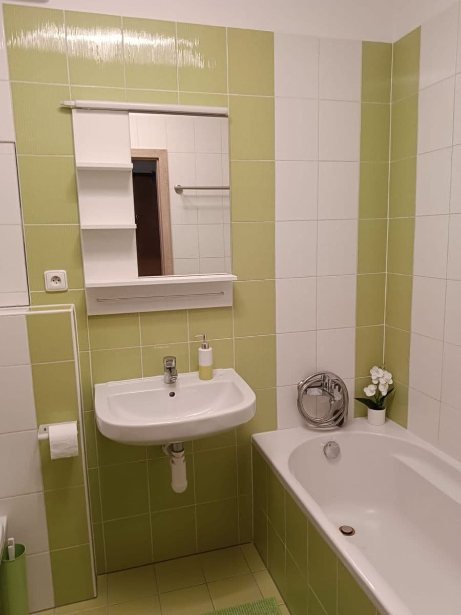Studio flat to rent, 29 m², Sedláčkova, Brno, Jihomoravský Region Studio flat to rent, 29 m², Sedláčkova, Brno, Jihomoravský Region