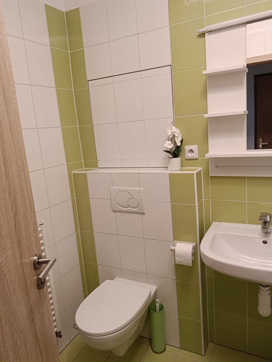 Studio flat to rent, 29 m², Sedláčkova, Brno, Jihomoravský Region Studio flat to rent, 29 m², Sedláčkova, Brno, Jihomoravský Region
