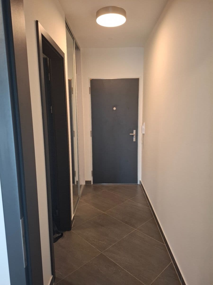 Studio flat to rent, 30 m², Švehlova, Prague, Prague Studio flat to rent, 30 m², Švehlova, Prague, Prague