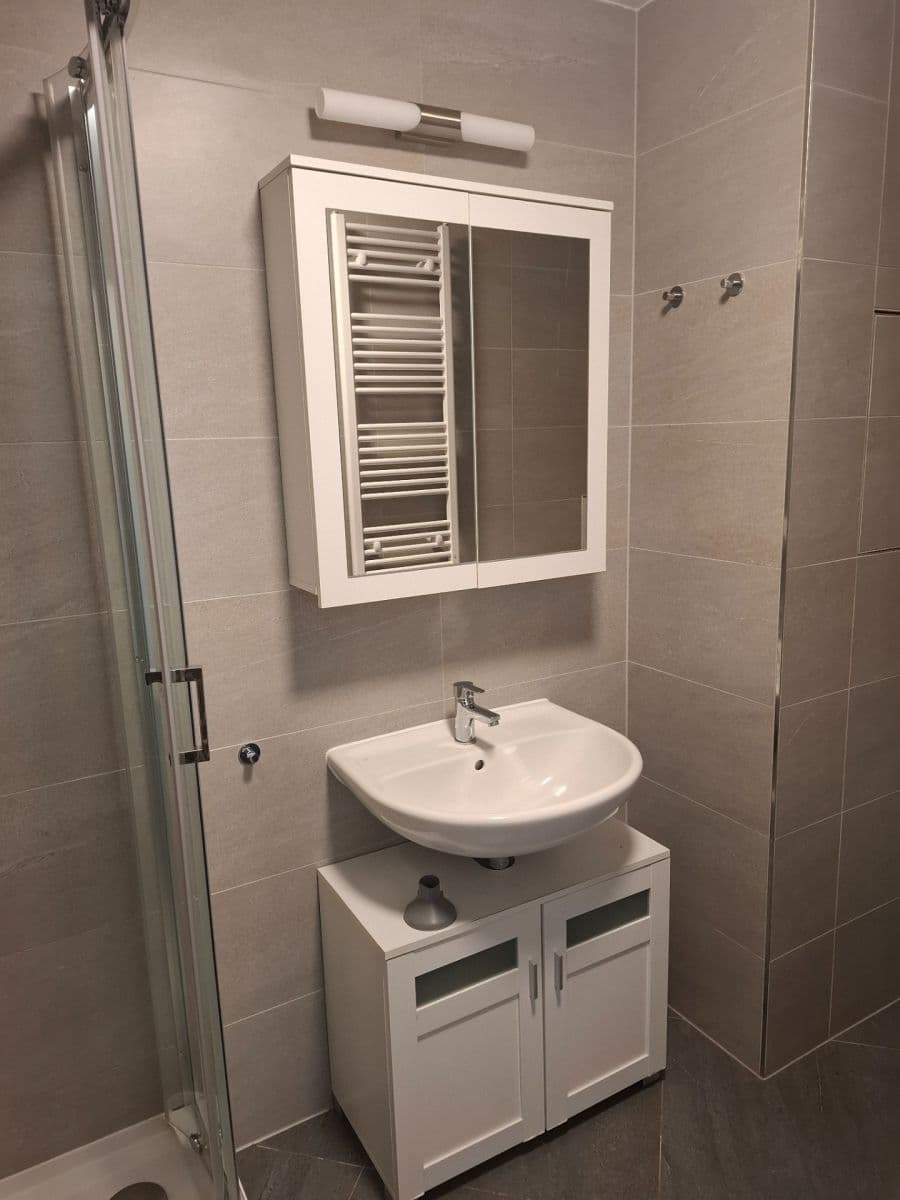 Studio flat to rent, 30 m², Švehlova, Prague, Prague Studio flat to rent, 30 m², Švehlova, Prague, Prague