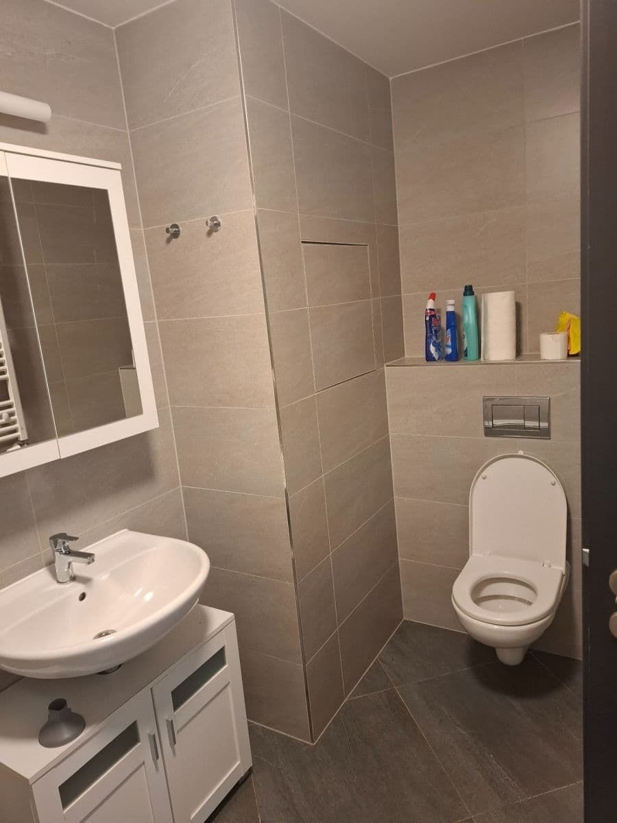 Studio flat to rent, 30 m², Švehlova, Prague, Prague Studio flat to rent, 30 m², Švehlova, Prague, Prague